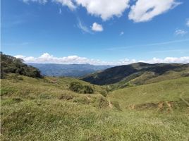  Terreno (Parcela) en venta en Cisneros, Antioquia, Cisneros