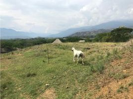  Terreno (Parcela) en venta en Sopetran, Antioquia, Sopetran