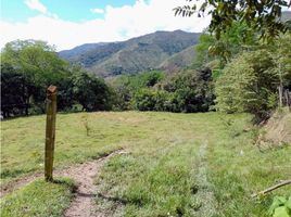  Grundstück zu verkaufen in San Jeronimo, Antioquia, San Jeronimo