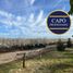  Land for sale in Maule, Molina, Curico, Maule