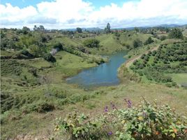  Grundstück zu verkaufen in Penol, Antioquia, Penol