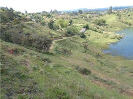  Grundstück zu verkaufen in Penol, Antioquia, Penol