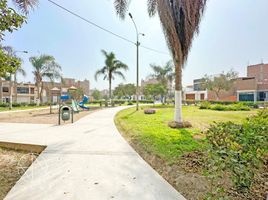  Grundstück zu verkaufen in Comas, Lima, Comas, Lima, Lima, Peru