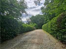  Terreno (Parcela) en venta en Puente Colgante De Occidente, Olaya, Santa Fe De Antioquia