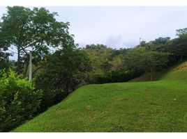  Terreno (Parcela) en venta en Sopetran, Antioquia, Sopetran