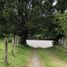  Land for sale in Chile, Ancud, Chiloe, Los Lagos, Chile