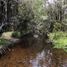  Land for sale in Chile, Ancud, Chiloe, Los Lagos, Chile