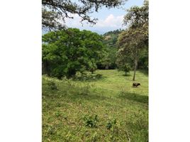  Terreno (Parcela) en venta en San Jeronimo, Antioquia, San Jeronimo