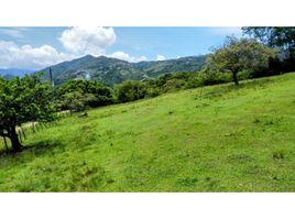  Terreno (Parcela) en venta en San Jeronimo, Antioquia, San Jeronimo