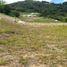  Land for sale in Pereira, Risaralda, Pereira