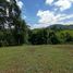  Land for sale in Pereira, Risaralda, Pereira