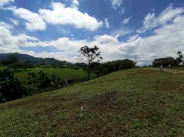  Land for sale in Pereira, Risaralda, Pereira