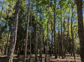  Terreno (Parcela) en venta en Chile, Pucón, Cautín, Araucanía, Chile