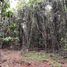 Land for sale in Chile, Punta Arenas, Magallanes, Magallanes Y Antartica Chilena, Chile