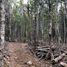  Land for sale in Chile, Punta Arenas, Magallanes, Magallanes Y Antartica Chilena, Chile