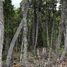  Land for sale in Chile, Punta Arenas, Magallanes, Magallanes Y Antartica Chilena, Chile