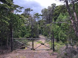  Land for sale in Chile, Punta Arenas, Magallanes, Magallanes Y Antartica Chilena, Chile