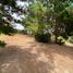  Land for sale in Chile, Requinao, Cachapoal, Libertador General Bernardo Ohiggins, Chile