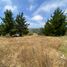  Land for sale in Chile, Requinao, Cachapoal, Libertador General Bernardo Ohiggins, Chile