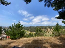  Land for sale in Chile, Requinao, Cachapoal, Libertador General Bernardo Ohiggins, Chile