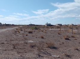  Land for sale in Neuquen, Confluencia, Neuquen