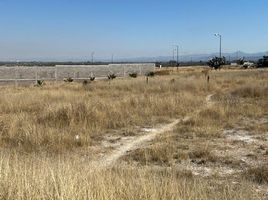  Grundstück zu verkaufen in Villa De Reyes, San Luis Potosi, Villa De Reyes