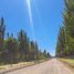  Land for sale in Confluencia, Neuquen, Confluencia