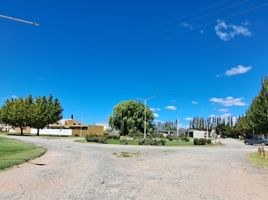  Land for sale in Confluencia, Neuquen, Confluencia