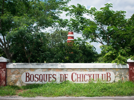  Grundstück zu verkaufen in Chicxulub Pueblo, Yucatan, Chicxulub Pueblo