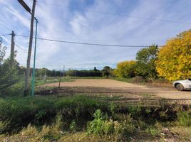  Land for sale in La Plata, Buenos Aires, La Plata