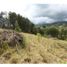  Land for sale in Rionegro, Antioquia, Rionegro