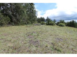  Land for sale in Rionegro, Antioquia, Rionegro