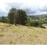  Land for sale in Rionegro, Antioquia, Rionegro