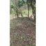  Land for sale in Guarne, Antioquia, Guarne