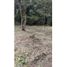  Land for sale in Guarne, Antioquia, Guarne