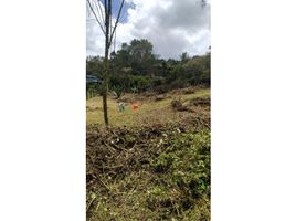  Land for sale in Guarne, Antioquia, Guarne