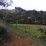  Land for sale in Guarne, Antioquia, Guarne