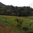  Land for sale in Guarne, Antioquia, Guarne