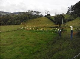  Terreno (Parcela) en venta en Guarne, Antioquia, Guarne