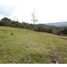  Land for sale in Guarne, Antioquia, Guarne