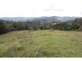  Terreno (Parcela) en venta en Guarne, Antioquia, Guarne