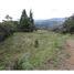  Land for sale in Guarne, Antioquia, Guarne