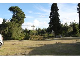  Land for sale in Guarne, Antioquia, Guarne