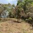  Land for sale in Rionegro, Antioquia, Rionegro