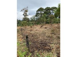  Land for sale in Rionegro, Antioquia, Rionegro