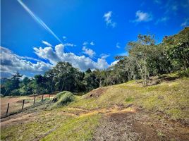  Land for sale in Guarne, Antioquia, Guarne