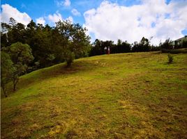  Land for sale in El Carmen De Viboral, Antioquia, El Carmen De Viboral