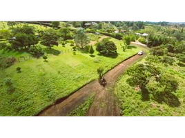  Land for sale in Guarne, Antioquia, Guarne