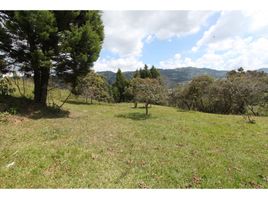  Terreno (Parcela) en venta en Guarne, Antioquia, Guarne