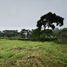  Land for sale in Cali, Valle Del Cauca, Cali